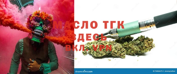 молекула духа Снежногорск